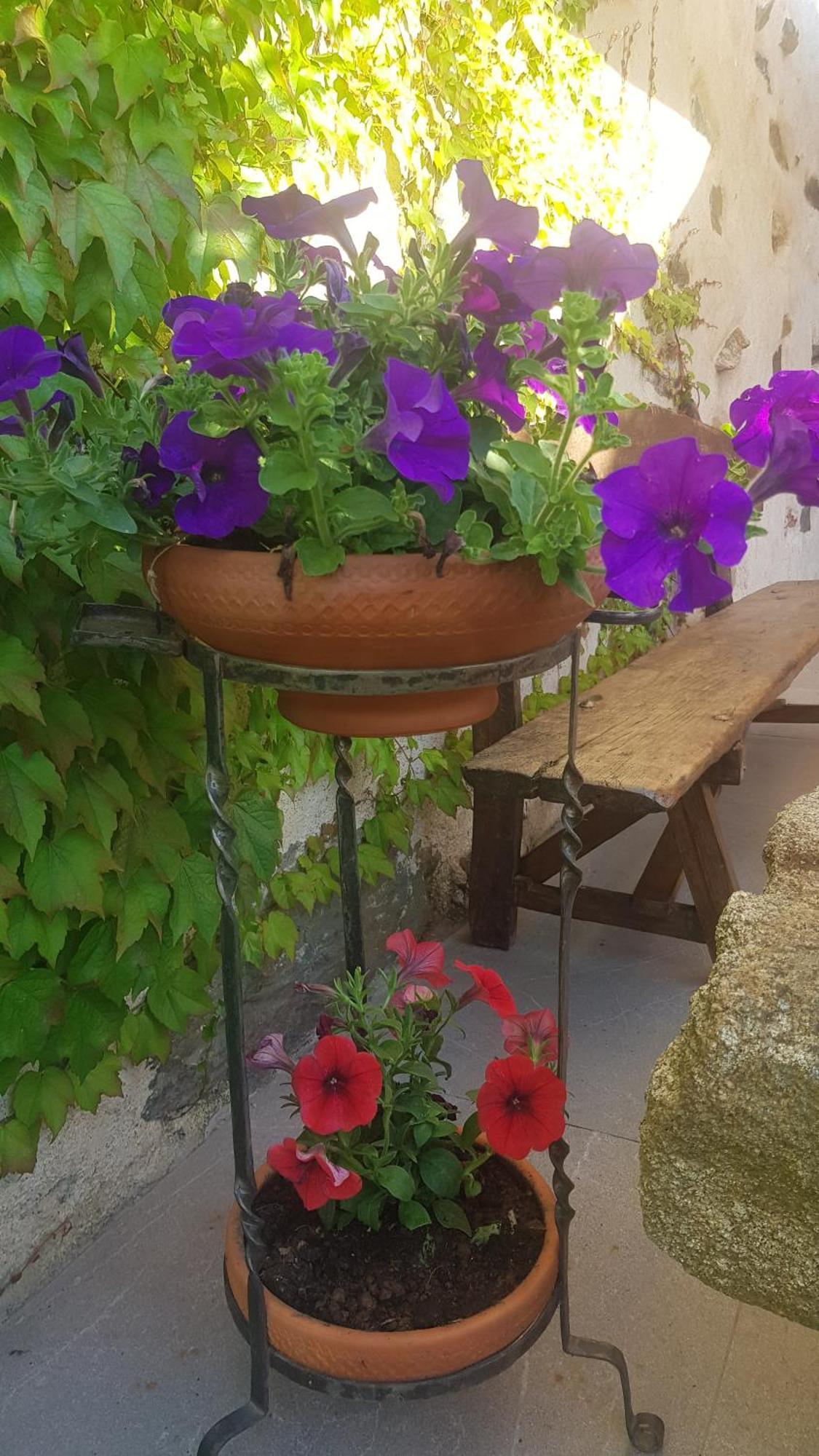 El Cabaco Casa Rural Rincon מראה חיצוני תמונה