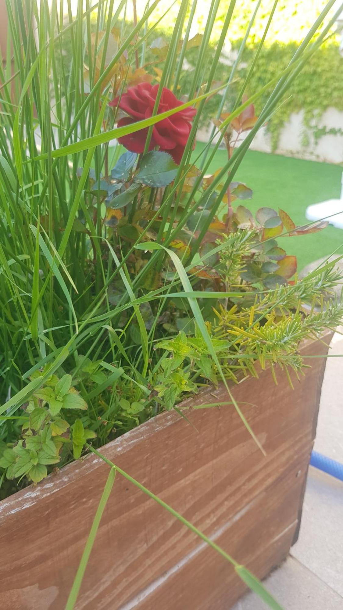 El Cabaco Casa Rural Rincon מראה חיצוני תמונה